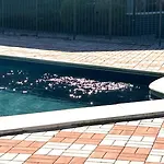 Casa Magenta Giardino Privato E Piscina Nel Borgo Lägenhet Moniga del Garda